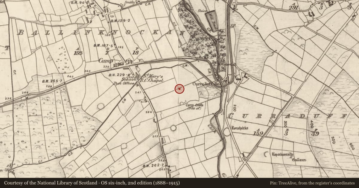 Ordnance Survey six-inch map, 2nd edition (1888–1915) covering the location of Souterrain, Camp, County Kerry, with a pin at the register's coordinates