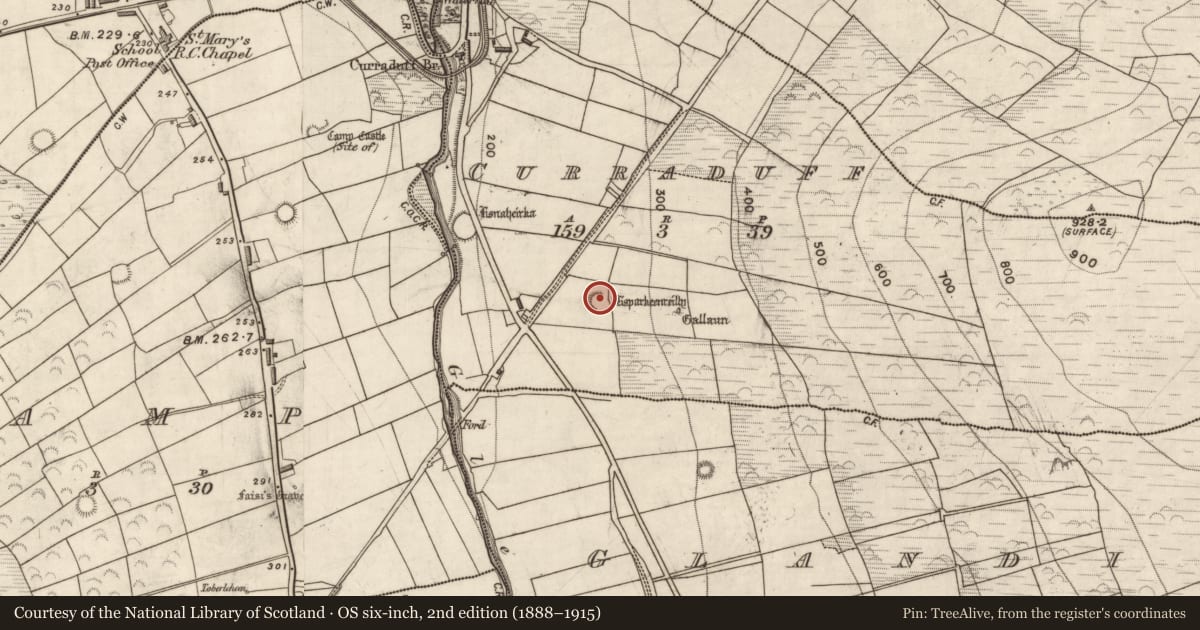 Ordnance Survey six-inch map, 2nd edition (1888–1915) covering the location of Ringfort - rath, Curraduff, County Kerry, with a pin at the register's coordinates