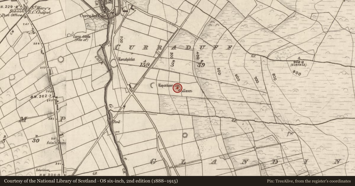 Ordnance Survey six-inch map, 2nd edition (1888–1915) covering the location of Stone row, Curraduff, County Kerry, with a pin at the register's coordinates