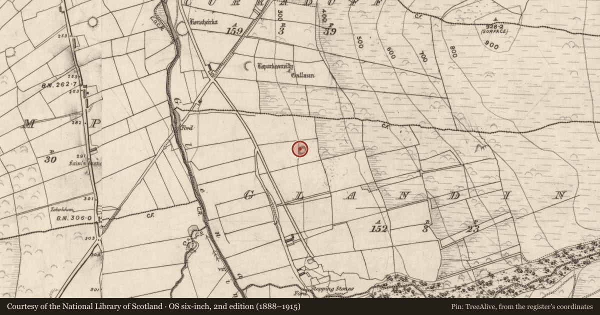 Ordnance Survey six-inch map, 2nd edition (1888–1915) covering the location of Hut site, Glandine, County Kerry, with a pin at the register's coordinates