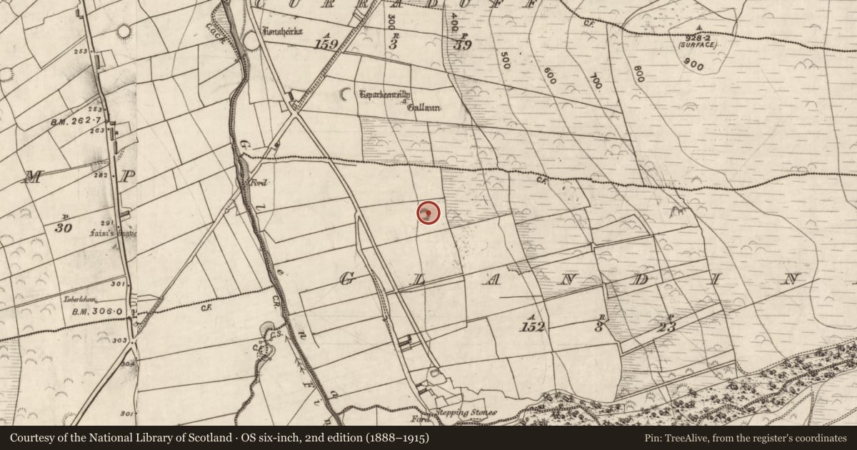 Ordnance Survey six-inch map, 2nd edition (1888–1915) covering the location of Souterrain, Glandine, County Kerry, with a pin at the register's coordinates