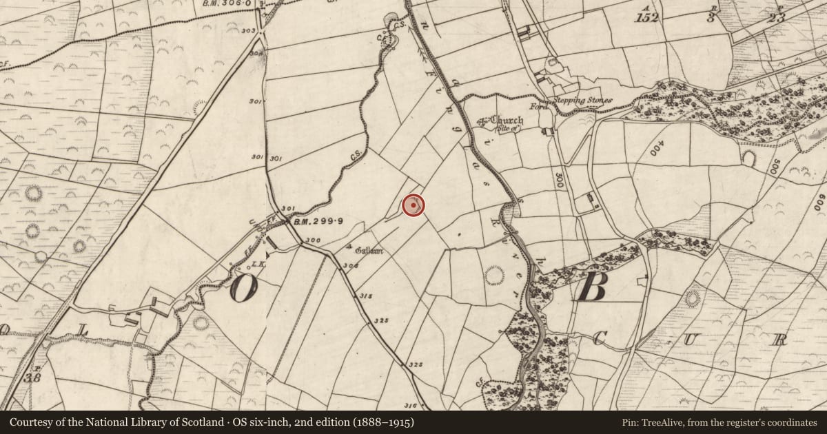 Ordnance Survey six-inch map, 2nd edition (1888–1915) covering the location of Ringfort - rath, Kilteenbane, County Kerry, with a pin at the register's coordinates