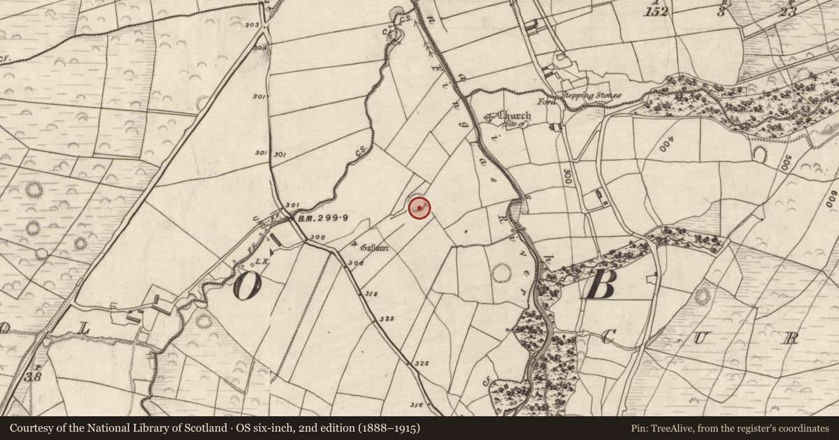 Ordnance Survey six-inch map, 2nd edition (1888–1915) covering the location of Souterrain, Kilteenbane, County Kerry, with a pin at the register's coordinates