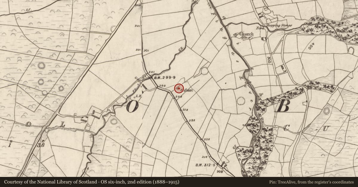 Ordnance Survey six-inch map, 2nd edition (1888–1915) covering the location of Standing stone, Kilteenbane, County Kerry, with a pin at the register's coordinates