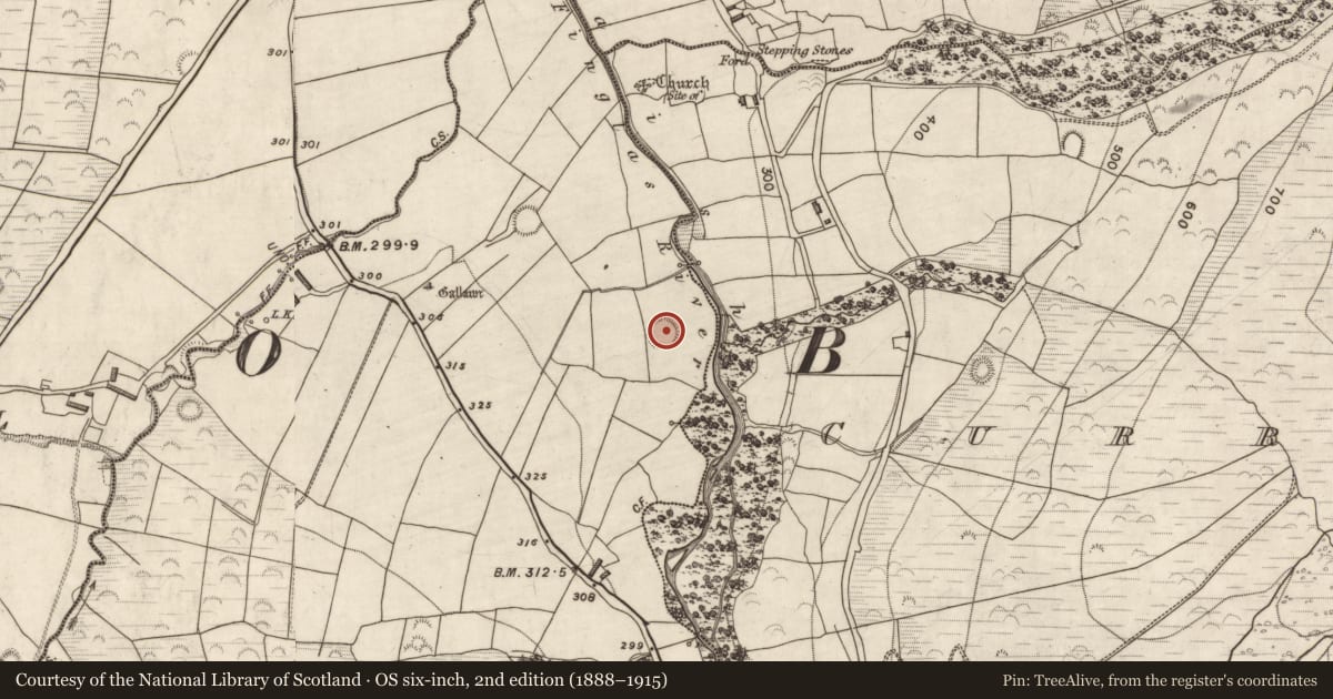 Ordnance Survey six-inch map, 2nd edition (1888–1915) covering the location of Ringfort - rath, Kilteenbane, County Kerry, with a pin at the register's coordinates