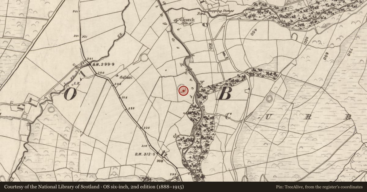 Ordnance Survey six-inch map, 2nd edition (1888–1915) covering the location of Hut site, Kilteenbane, County Kerry, with a pin at the register's coordinates