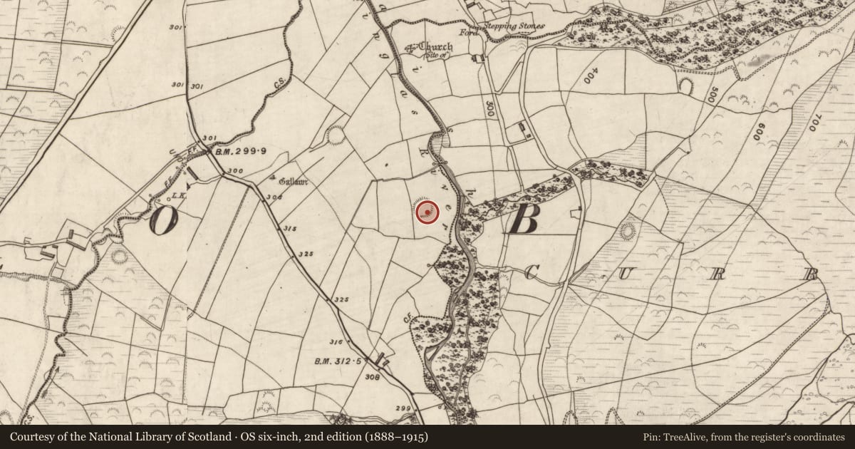 Ordnance Survey six-inch map, 2nd edition (1888–1915) covering the location of Hut site, Kilteenbane, County Kerry, with a pin at the register's coordinates