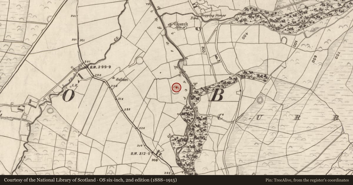 Ordnance Survey six-inch map, 2nd edition (1888–1915) covering the location of Hut site, Kilteenbane, County Kerry, with a pin at the register's coordinates