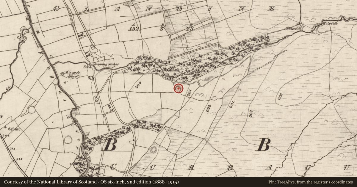 Ordnance Survey six-inch map, 2nd edition (1888–1915) covering the location of Ringfort - rath, Curracullenagh, County Kerry, with a pin at the register's coordinates