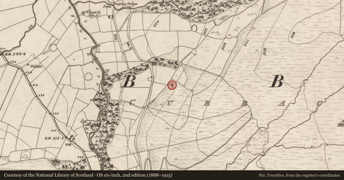 Ordnance Survey six-inch map, 2nd edition (1888–1915) covering the location of Ringfort - rath, Curracullenagh, County Kerry, with a pin at the register's coordinates