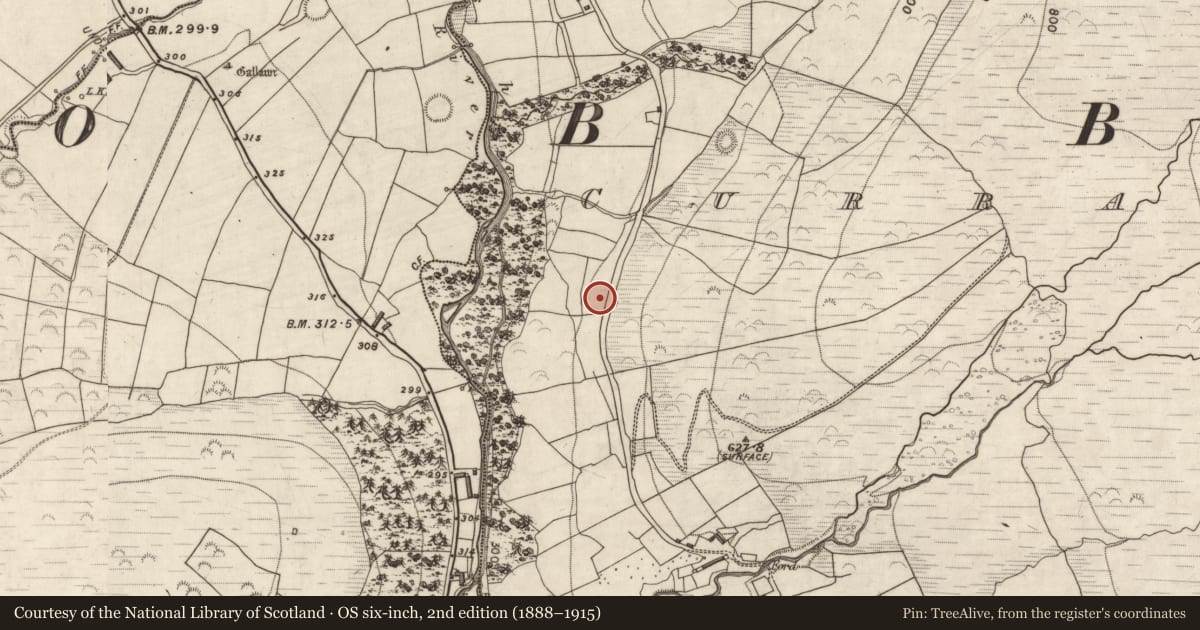 Ordnance Survey six-inch map, 2nd edition (1888–1915) covering the location of Ringfort - cashel, Curracullenagh, County Kerry, with a pin at the register's coordinates