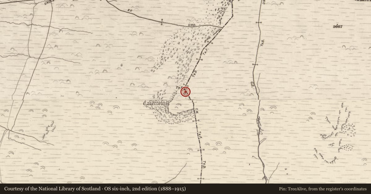 Ordnance Survey six-inch map, 2nd edition (1888–1915) covering the location of Structure, Beheenagh, County Kerry, with a pin at the register's coordinates