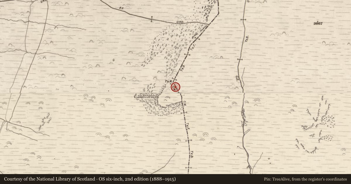 Ordnance Survey six-inch map, 2nd edition (1888–1915) covering the location of Structure, Beheenagh, County Kerry, with a pin at the register's coordinates