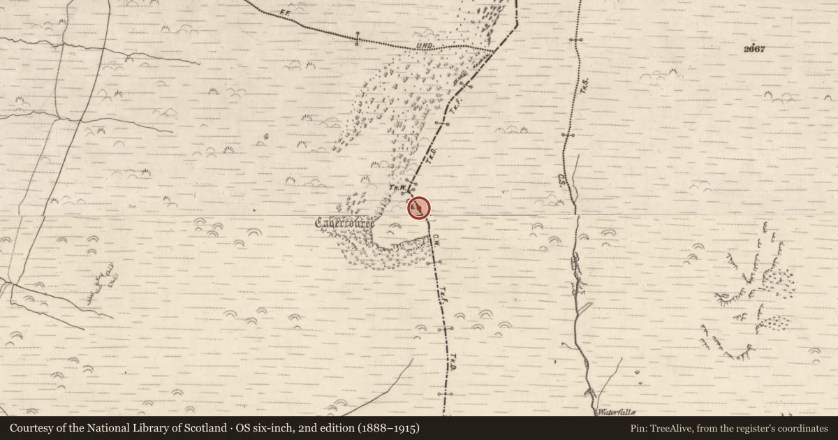 Ordnance Survey six-inch map, 2nd edition (1888–1915) covering the location of Structure, Beheenagh, County Kerry, with a pin at the register's coordinates