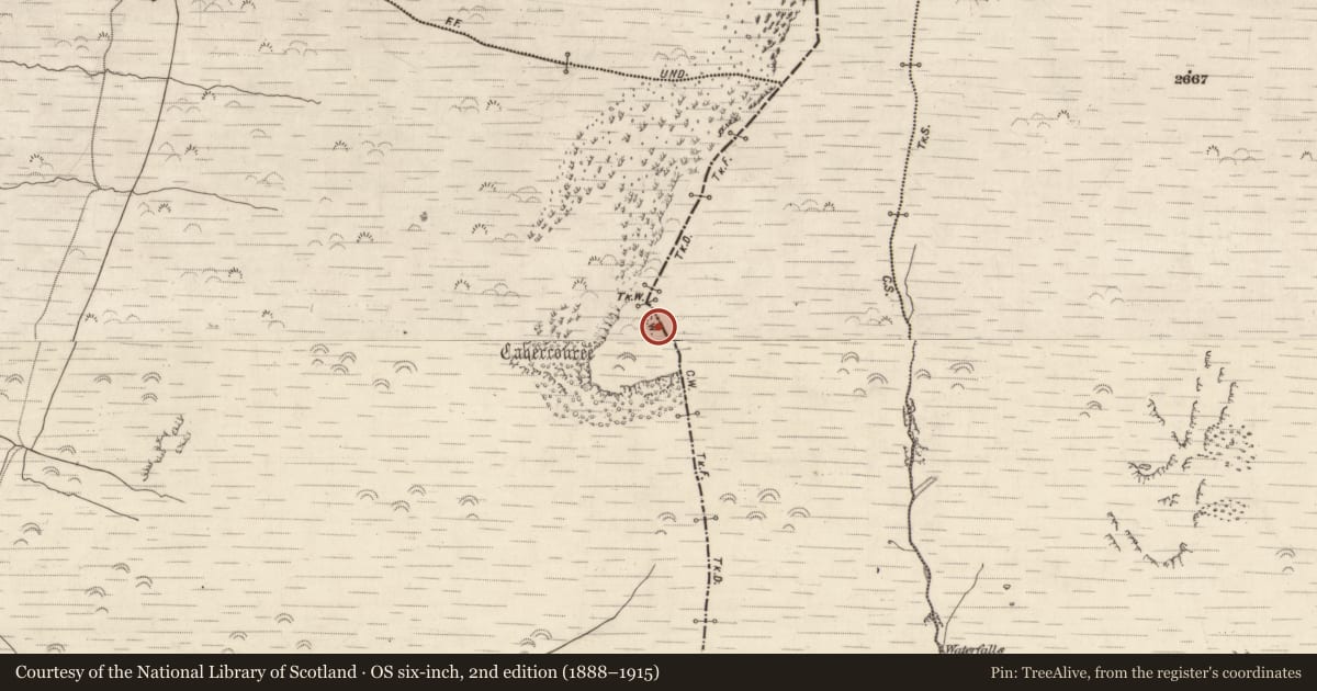 Ordnance Survey six-inch map, 2nd edition (1888–1915) covering the location of Structure, Beheenagh, County Kerry, with a pin at the register's coordinates