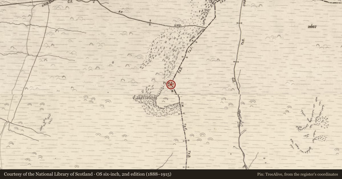 Ordnance Survey six-inch map, 2nd edition (1888–1915) covering the location of Structure, Beheenagh, County Kerry, with a pin at the register's coordinates