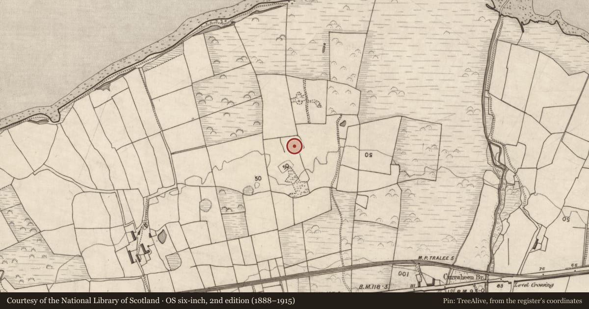 Ordnance Survey six-inch map, 2nd edition (1888–1915) covering the location of Metalworking site, Curraheen, County Kerry, with a pin at the register's coordinates