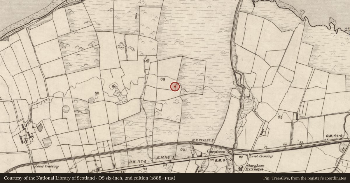 Ordnance Survey six-inch map, 2nd edition (1888–1915) covering the location of Metalworking site, Curraheen, County Kerry, with a pin at the register's coordinates