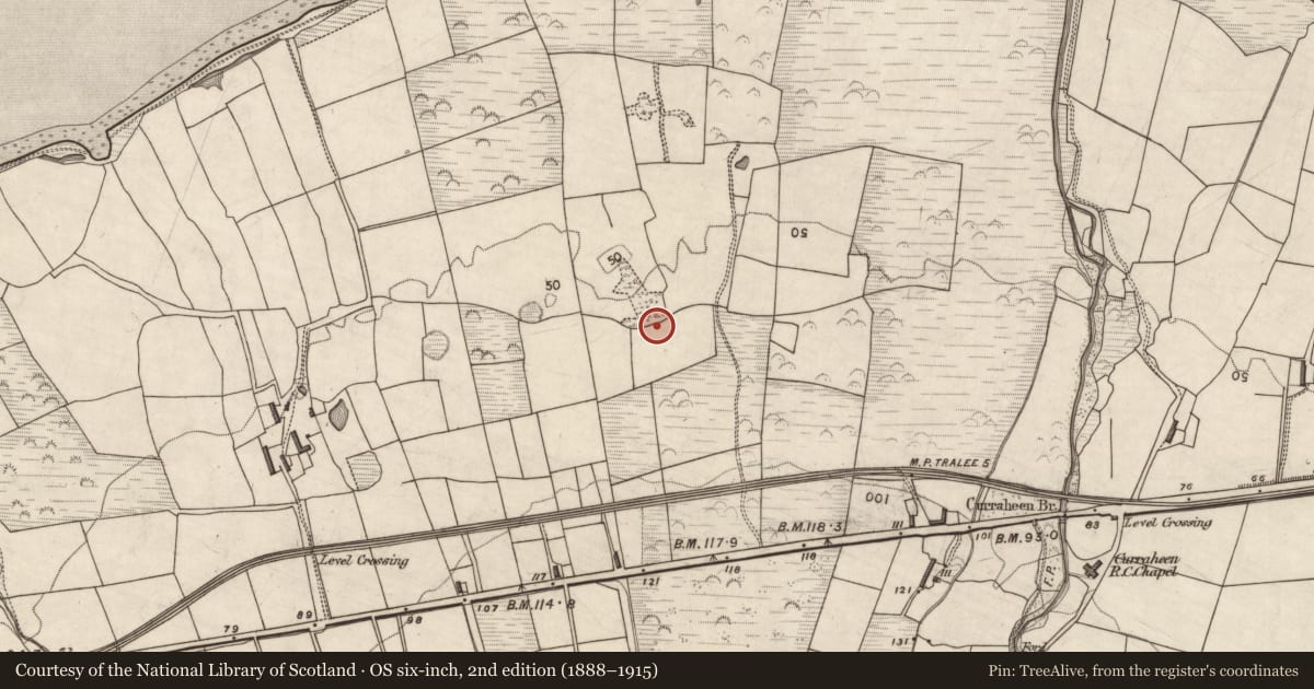 Ordnance Survey six-inch map, 2nd edition (1888–1915) covering the location of Souterrain, Curraheen, County Kerry, with a pin at the register's coordinates