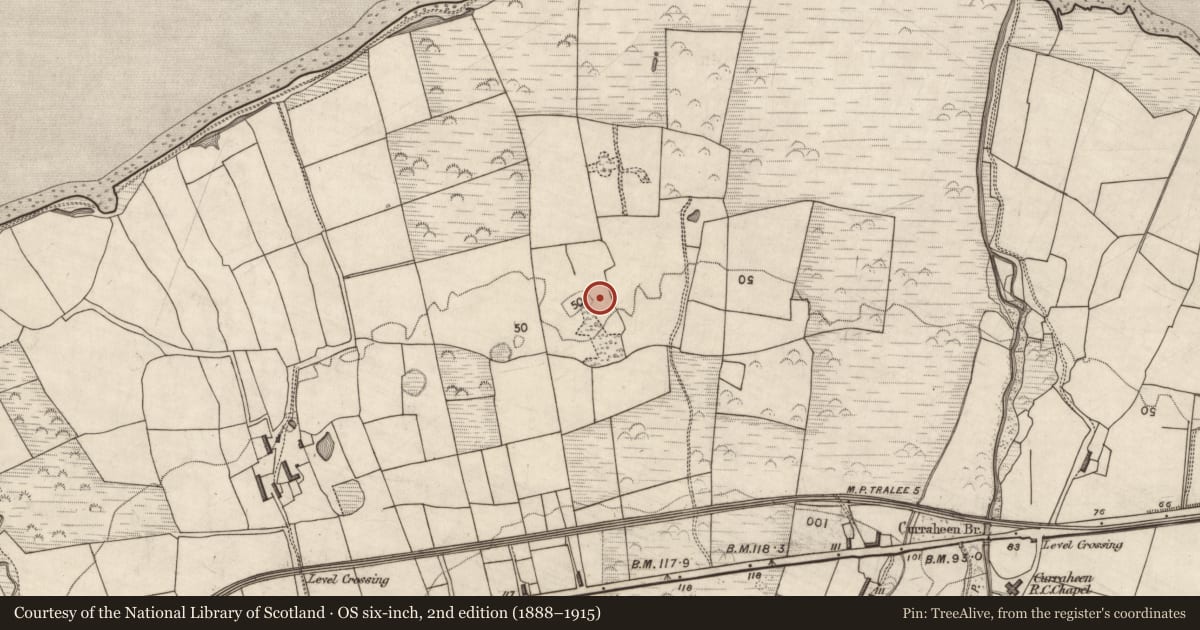 Ordnance Survey six-inch map, 2nd edition (1888–1915) covering the location of Souterrain, Curraheen, County Kerry, with a pin at the register's coordinates
