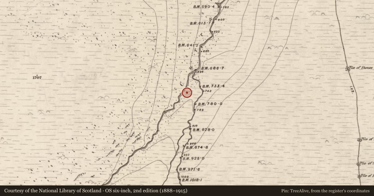 Ordnance Survey six-inch map, 2nd edition (1888–1915) covering the location of Standing stone, Curraheen, County Kerry, with a pin at the register's coordinates