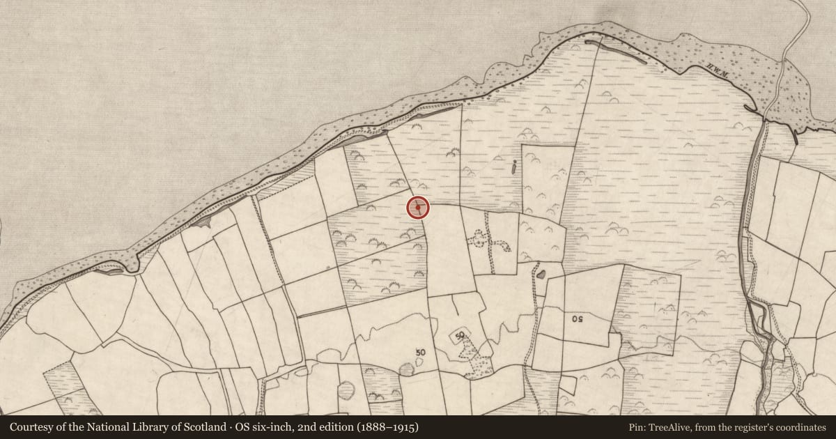 Ordnance Survey six-inch map, 2nd edition (1888–1915) covering the location of Enclosure, Curraheen, County Kerry, with a pin at the register's coordinates