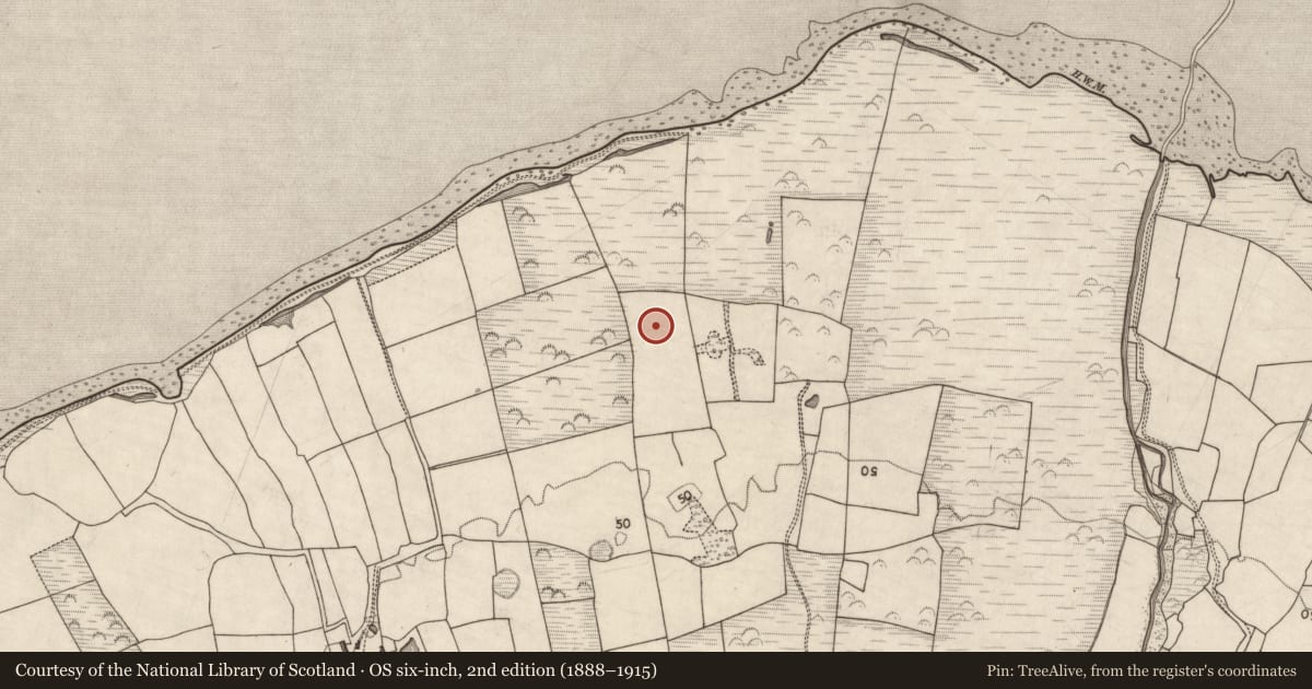 Ordnance Survey six-inch map, 2nd edition (1888–1915) covering the location of Enclosure, Curraheen, County Kerry, with a pin at the register's coordinates