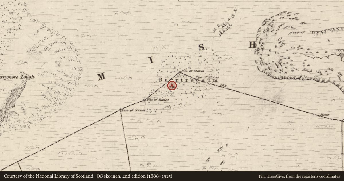 Ordnance Survey six-inch map, 2nd edition (1888–1915) covering the location of Cairn - unclassified, Shanakeal, County Kerry, with a pin at the register's coordinates