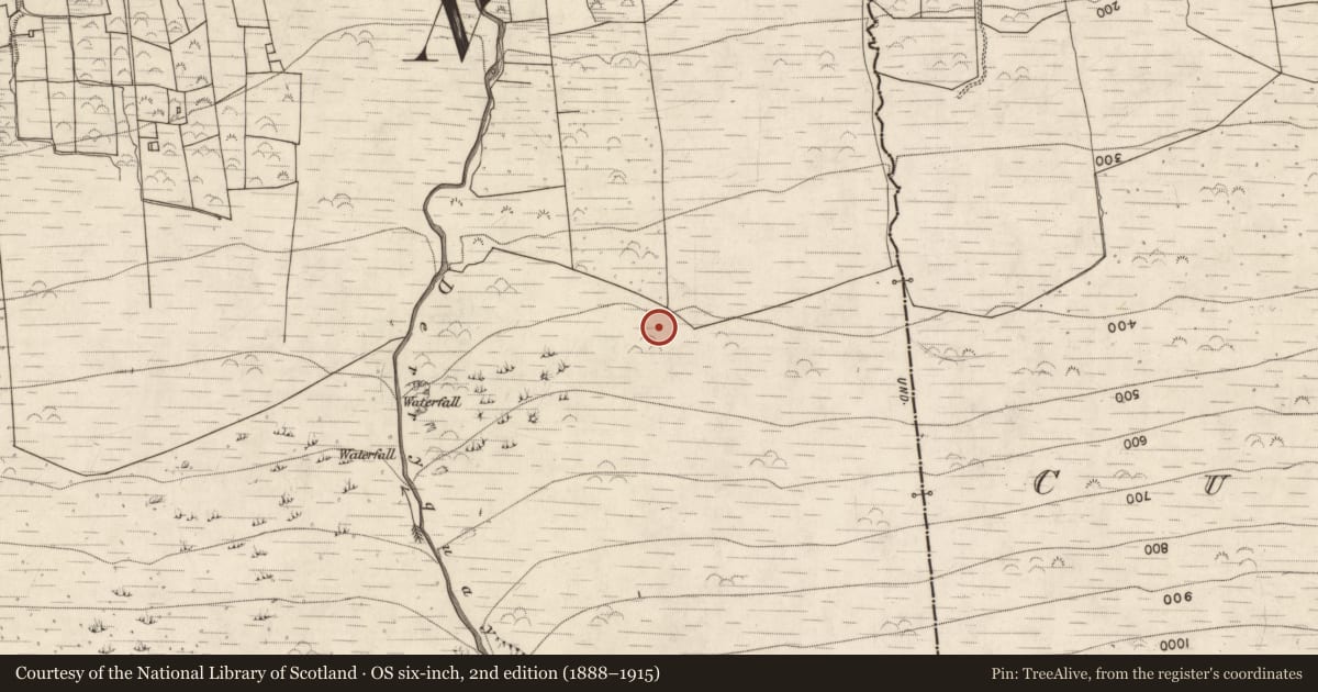 Ordnance Survey six-inch map, 2nd edition (1888–1915) covering the location of Turf stand, Doire Mhór Thoir, County Kerry, with a pin at the register's coordinates