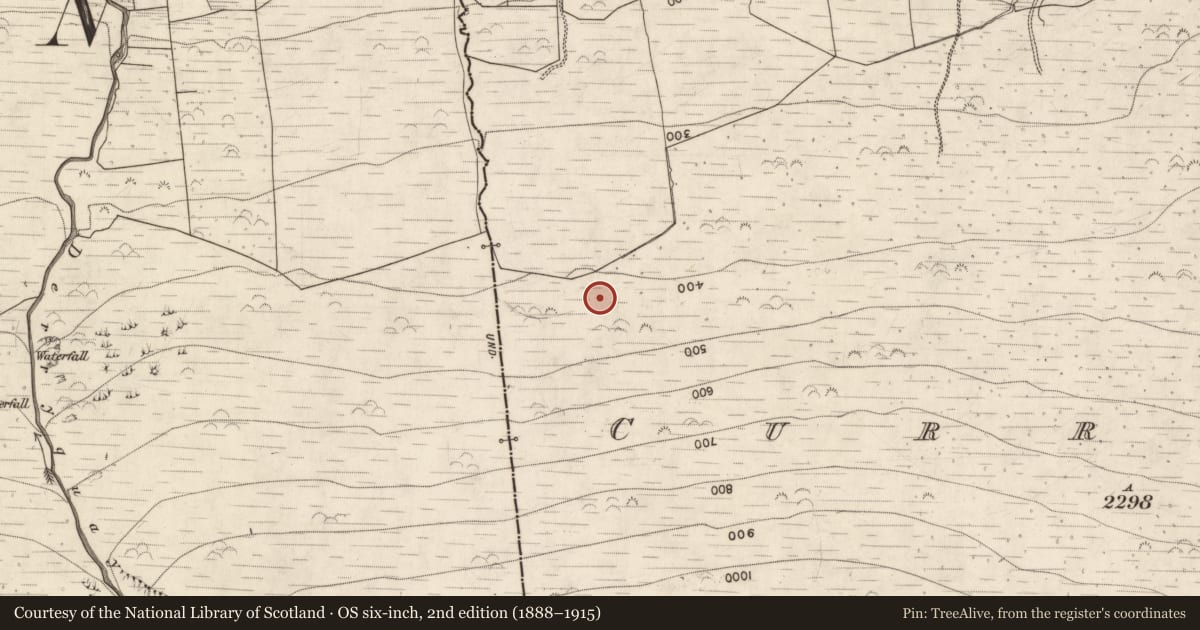 Ordnance Survey six-inch map, 2nd edition (1888–1915) covering the location of Hut site, Curraheen, County Kerry, with a pin at the register's coordinates