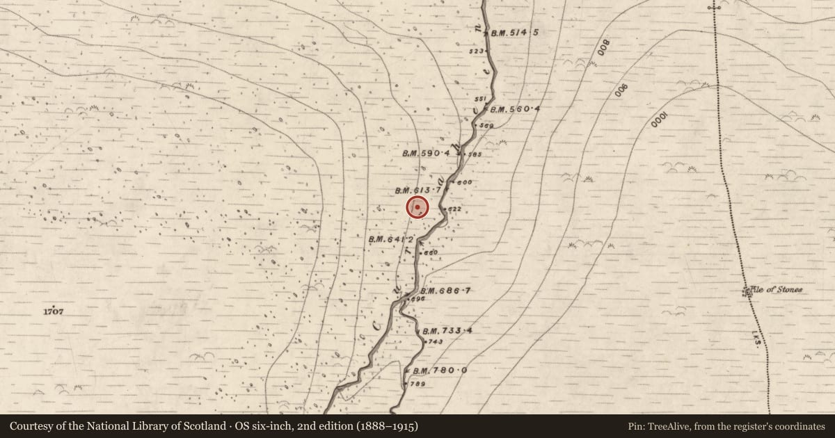Ordnance Survey six-inch map, 2nd edition (1888–1915) covering the location of Hut site, Curraheen, County Kerry, with a pin at the register's coordinates