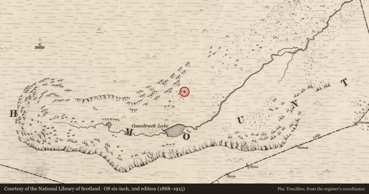 Ordnance Survey six-inch map, 2nd edition (1888–1915) covering the location of Hut site, Doire Mhór Thoir, County Kerry, with a pin at the register's coordinates