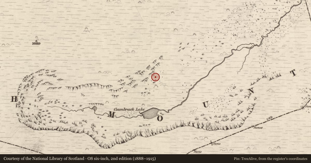 Ordnance Survey six-inch map, 2nd edition (1888–1915) covering the location of Hut site, Doire Mhór Thoir, County Kerry, with a pin at the register's coordinates