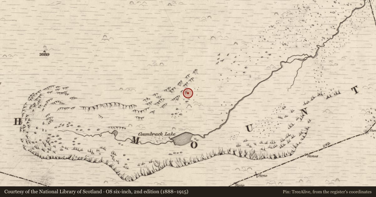 Ordnance Survey six-inch map, 2nd edition (1888–1915) covering the location of Hut site, Doire Mhór Thoir, County Kerry, with a pin at the register's coordinates