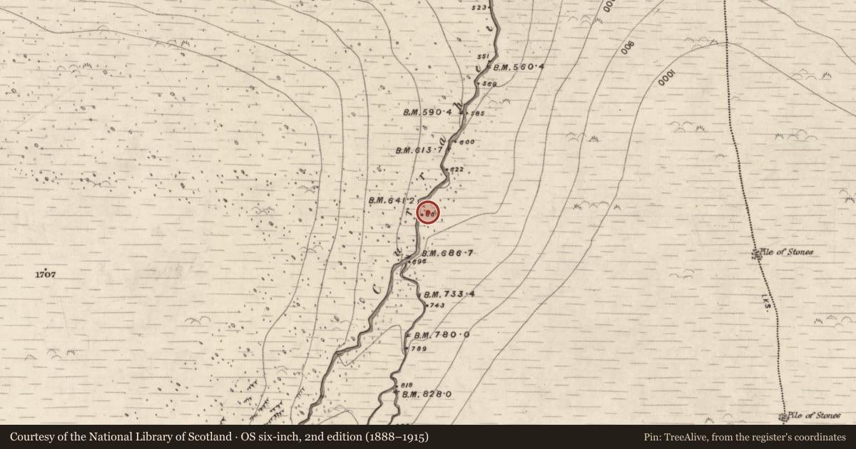 Ordnance Survey six-inch map, 2nd edition (1888–1915) covering the location of Hut site, Curraheen, County Kerry, with a pin at the register's coordinates