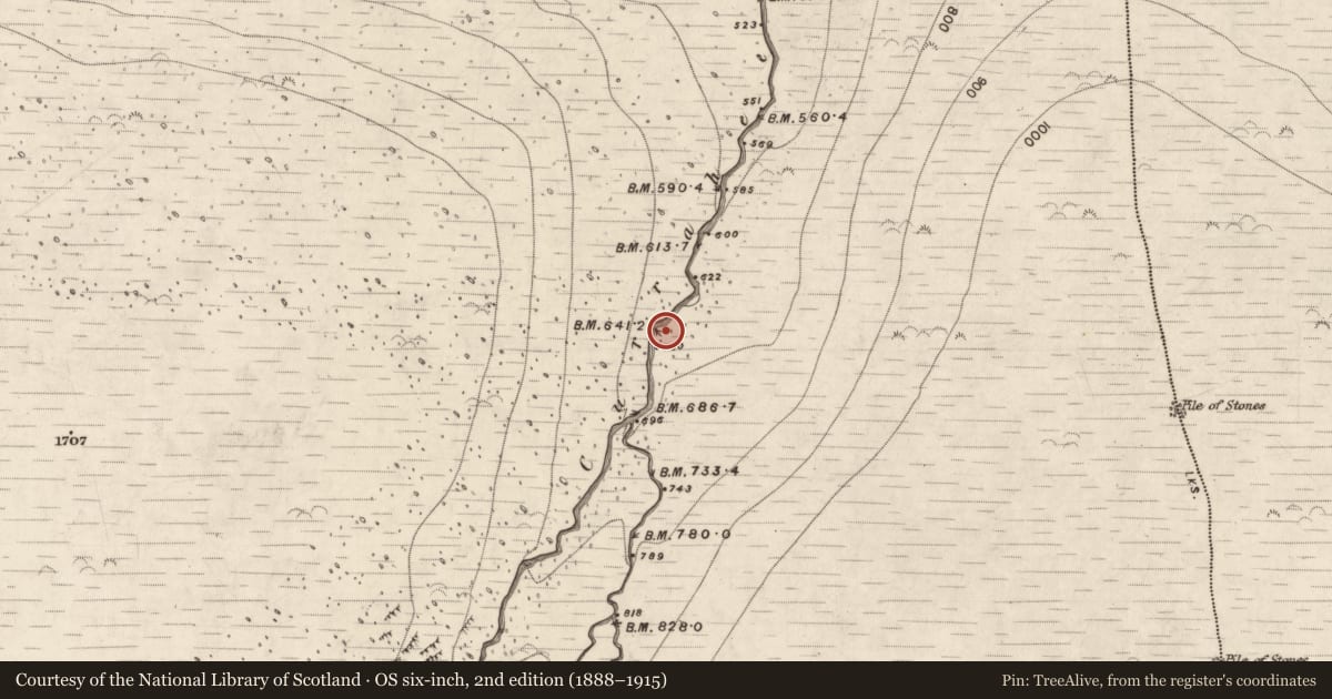 Ordnance Survey six-inch map, 2nd edition (1888–1915) covering the location of Hut site, Curraheen, County Kerry, with a pin at the register's coordinates