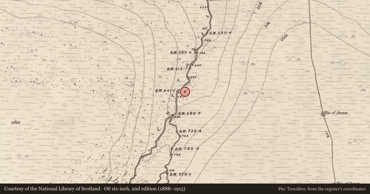 Ordnance Survey six-inch map, 2nd edition (1888–1915) covering the location of Hut site, Curraheen, County Kerry, with a pin at the register's coordinates