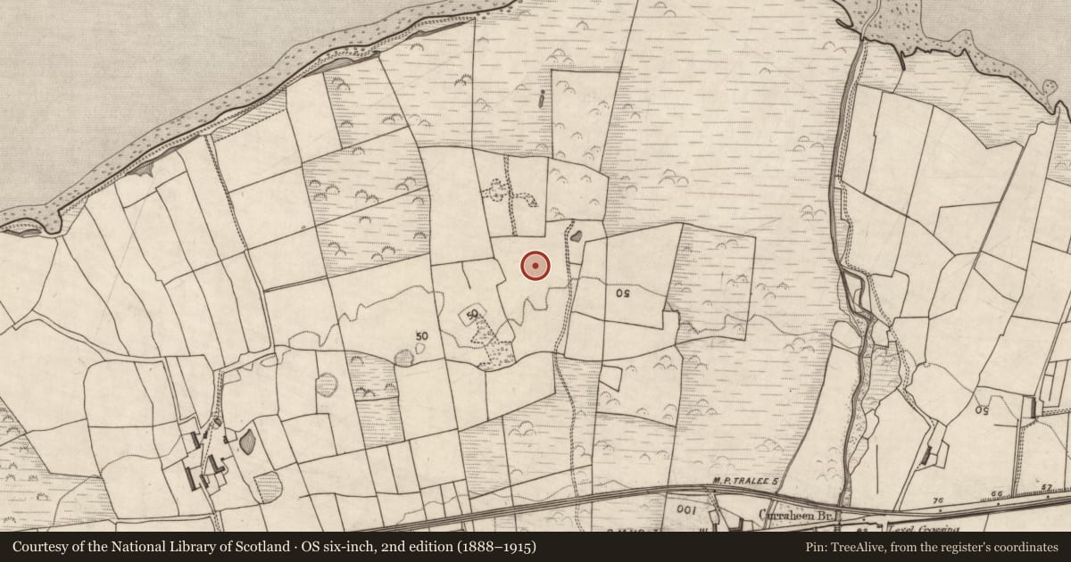 Ordnance Survey six-inch map, 2nd edition (1888–1915) covering the location of Souterrain, Curraheen, County Kerry, with a pin at the register's coordinates