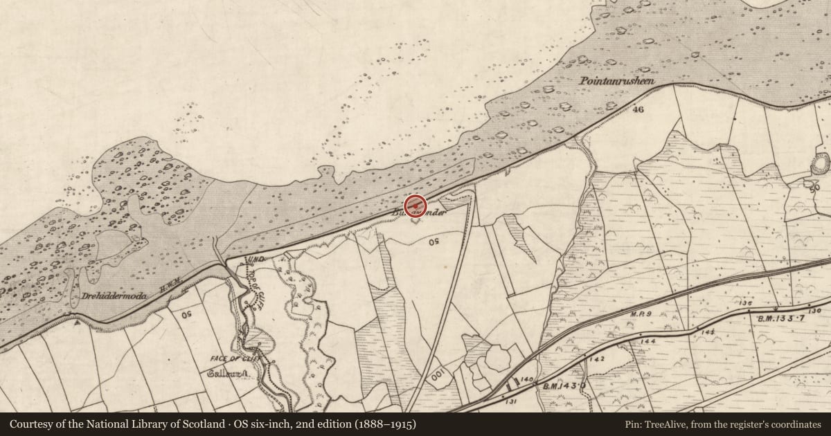 Ordnance Survey six-inch map, 2nd edition (1888–1915) covering the location of Rock art, Killelton, County Kerry, with a pin at the register's coordinates