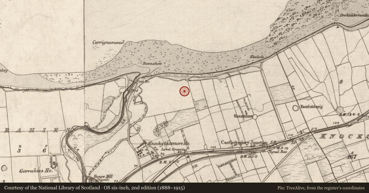 Ordnance Survey six-inch map, 2nd edition (1888–1915) covering the location of Enclosure, Knockglass More, County Kerry, with a pin at the register's coordinates