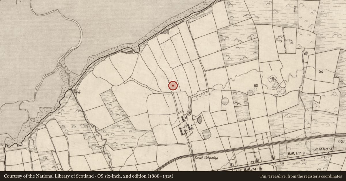 Ordnance Survey six-inch map, 2nd edition (1888–1915) covering the location of Barrow - unclassified, Curraheen, County Kerry, with a pin at the register's coordinates