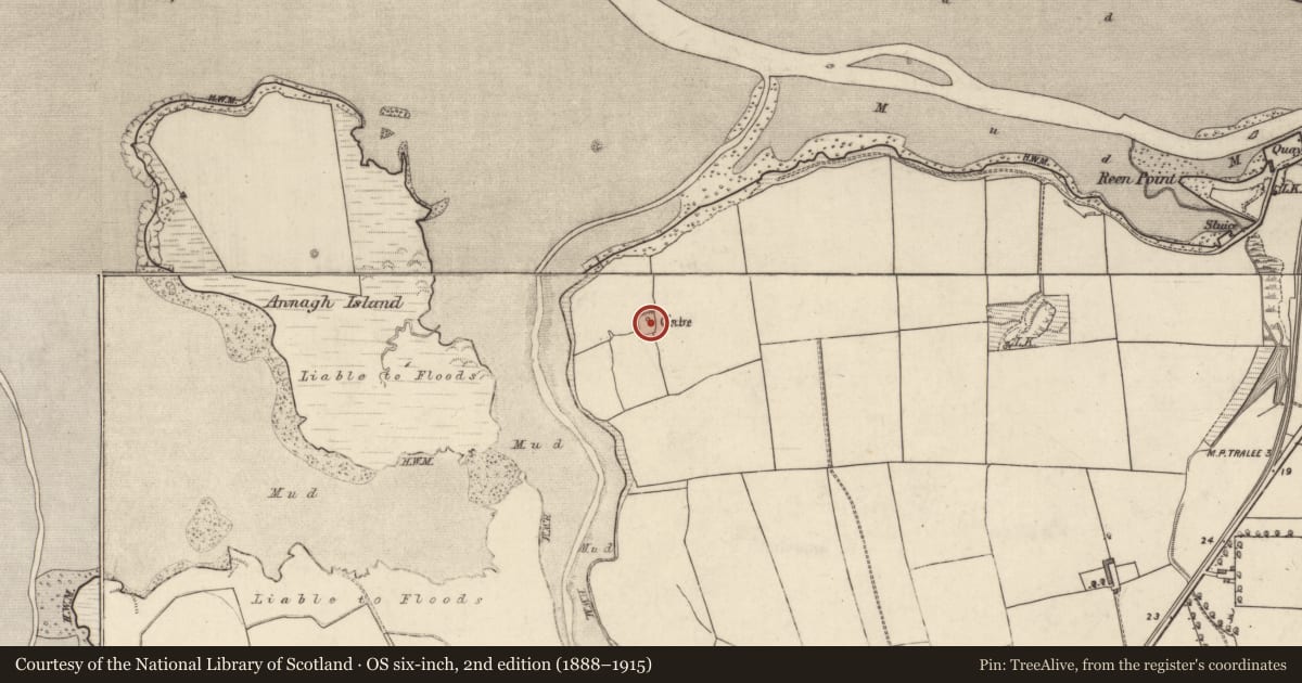 Ordnance Survey six-inch map, 2nd edition (1888–1915) covering the location of Enclosure, Tonavane, County Kerry, with a pin at the register's coordinates