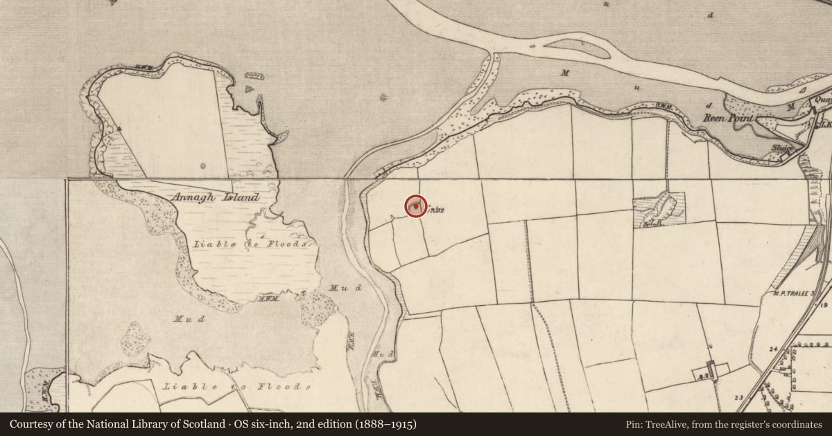 Ordnance Survey six-inch map, 2nd edition (1888–1915) covering the location of Souterrain, Tonavane, County Kerry, with a pin at the register's coordinates
