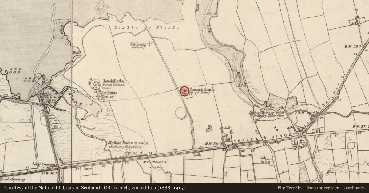 Ordnance Survey six-inch map, 2nd edition (1888–1915) covering the location of Stone sculpture, Annagh, County Kerry, with a pin at the register's coordinates
