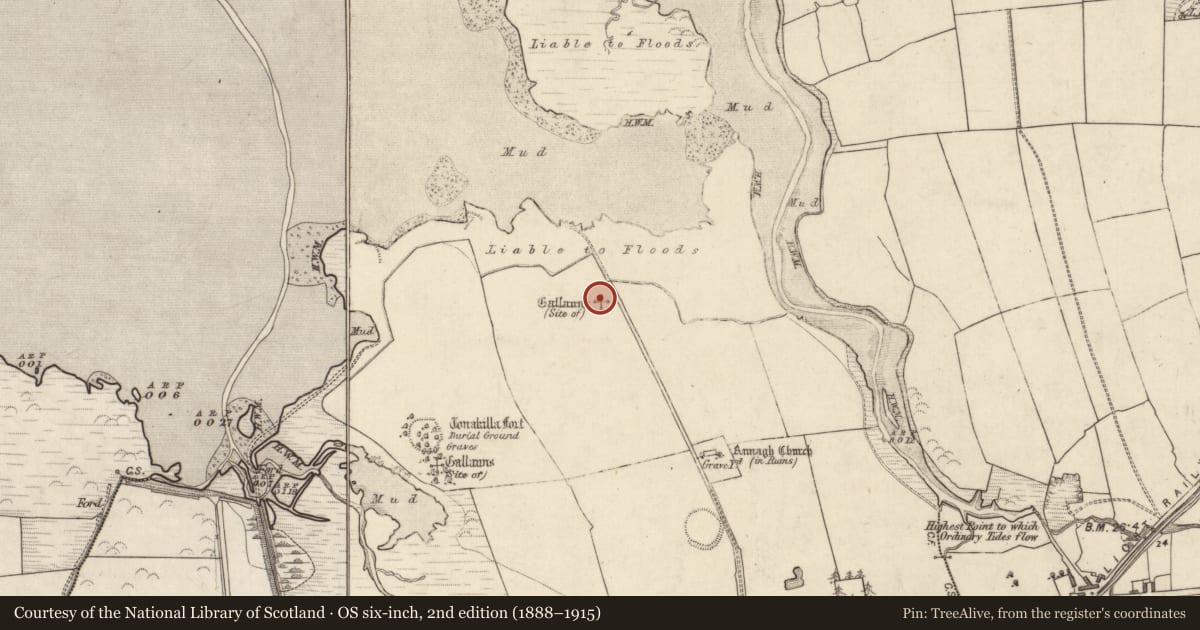 Ordnance Survey six-inch map, 2nd edition (1888–1915) covering the location of Standing stone, Annagh, County Kerry, with a pin at the register's coordinates