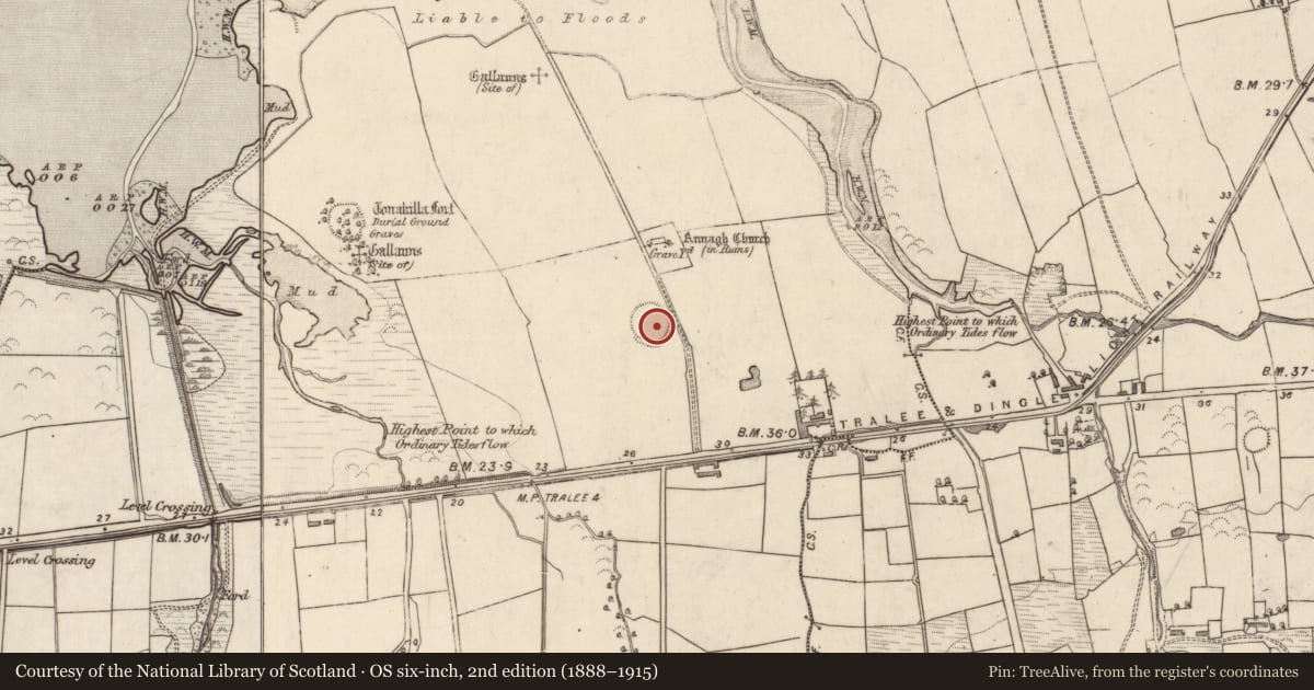 Ordnance Survey six-inch map, 2nd edition (1888–1915) covering the location of Ringfort - rath, Annagh, County Kerry, with a pin at the register's coordinates