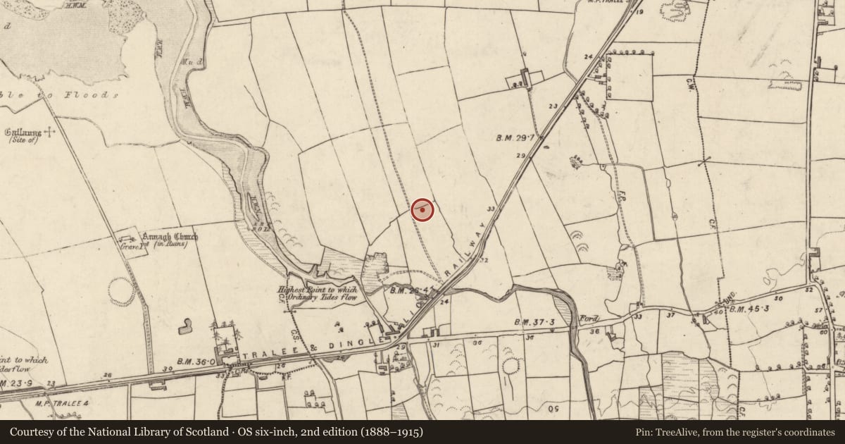 Ordnance Survey six-inch map, 2nd edition (1888–1915) covering the location of Souterrain, Tonavane, County Kerry, with a pin at the register's coordinates