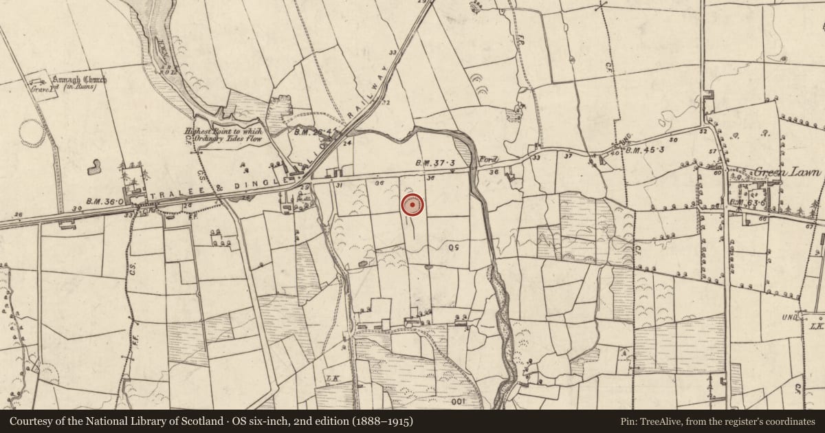 Ordnance Survey six-inch map, 2nd edition (1888–1915) covering the location of Enclosure, Tonavane, County Kerry, with a pin at the register's coordinates