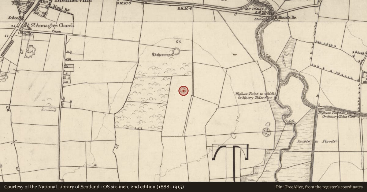 Ordnance Survey six-inch map, 2nd edition (1888–1915) covering the location of Barrow - ring-barrow, Ballydunlea, County Kerry, with a pin at the register's coordinates