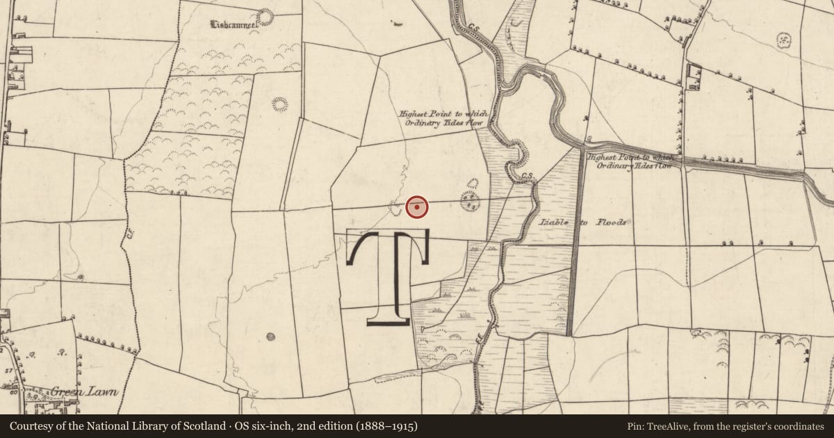 Ordnance Survey six-inch map, 2nd edition (1888–1915) covering the location of Field system, Ballydunlea, County Kerry, with a pin at the register's coordinates